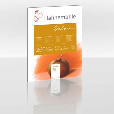 Block Hahnemuhle Pastel Velour 24 x 32cms, blanco