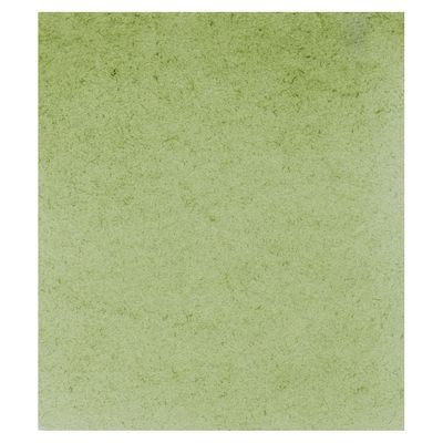 Acuarela Schmincke Horadam 516 Green Earth