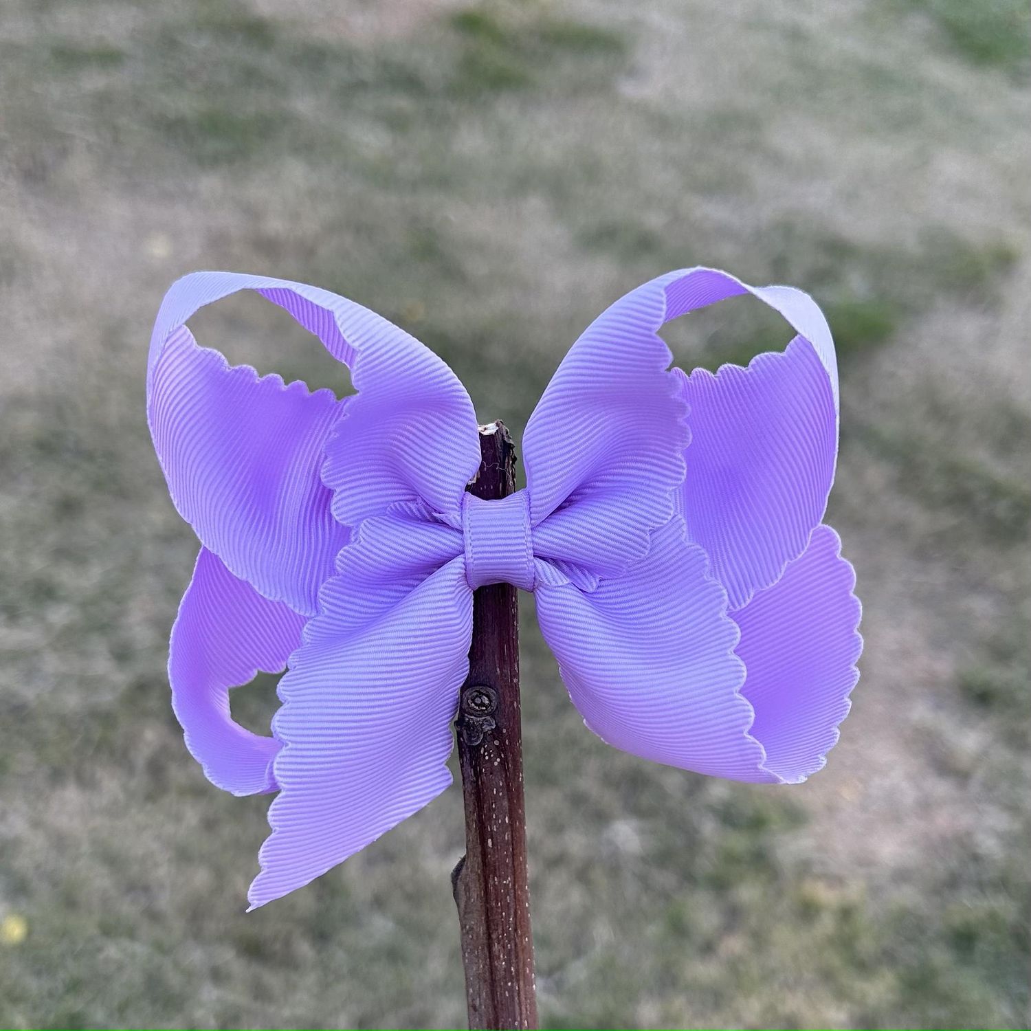 4.5 inch purple scallop bows
