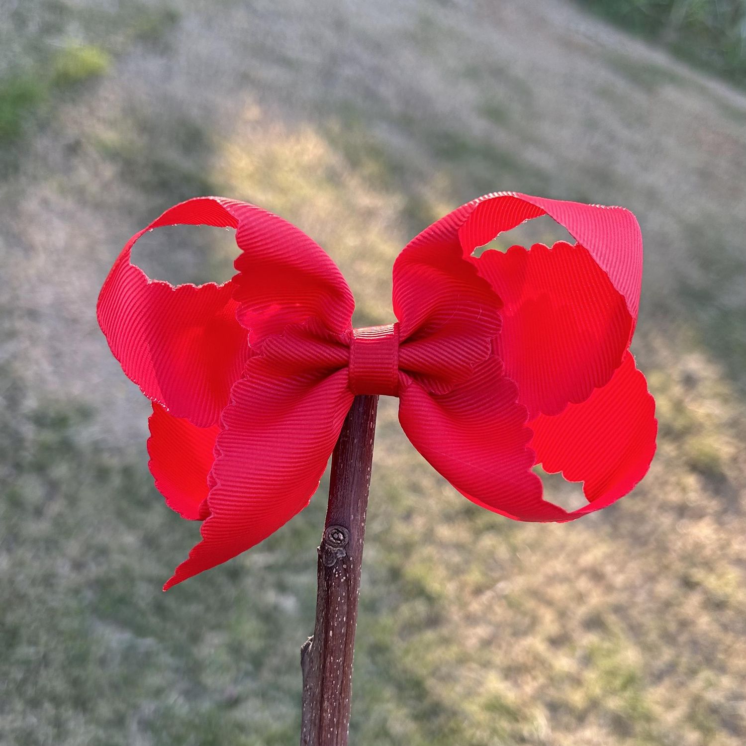 4.5 inch Red scallop bow