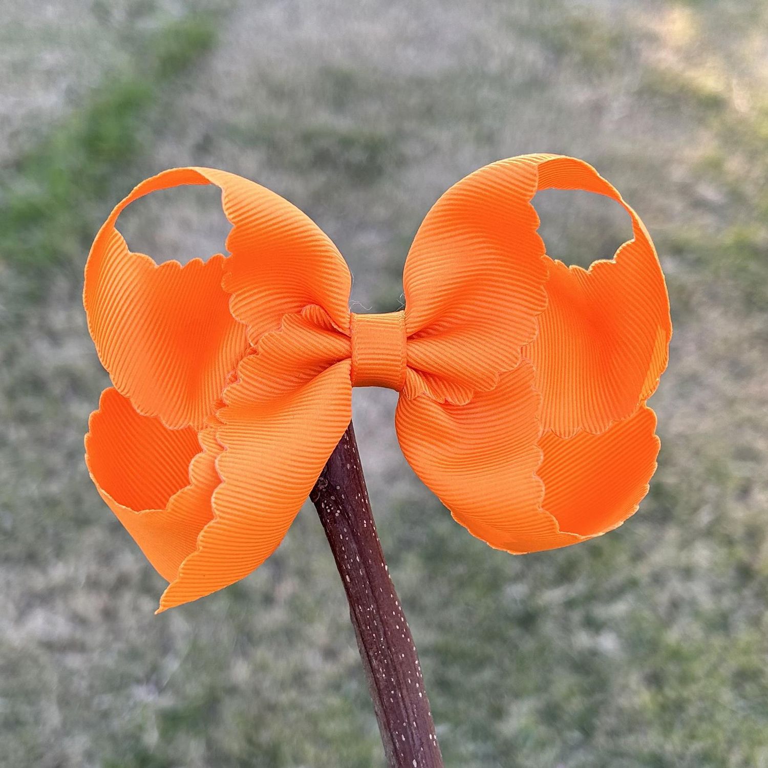 4.5 inch Orange Scallop bow