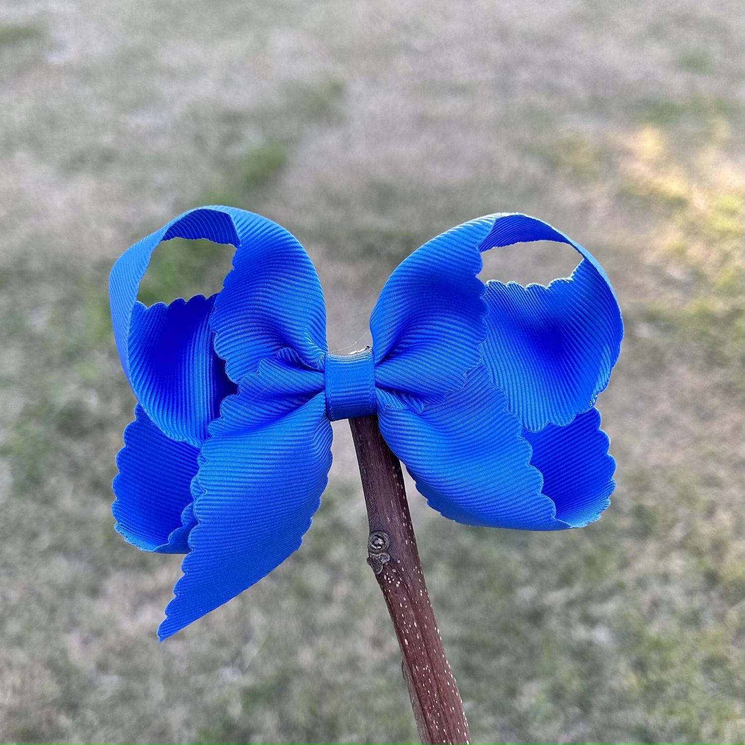 4.5 inch Blue Scallop bow