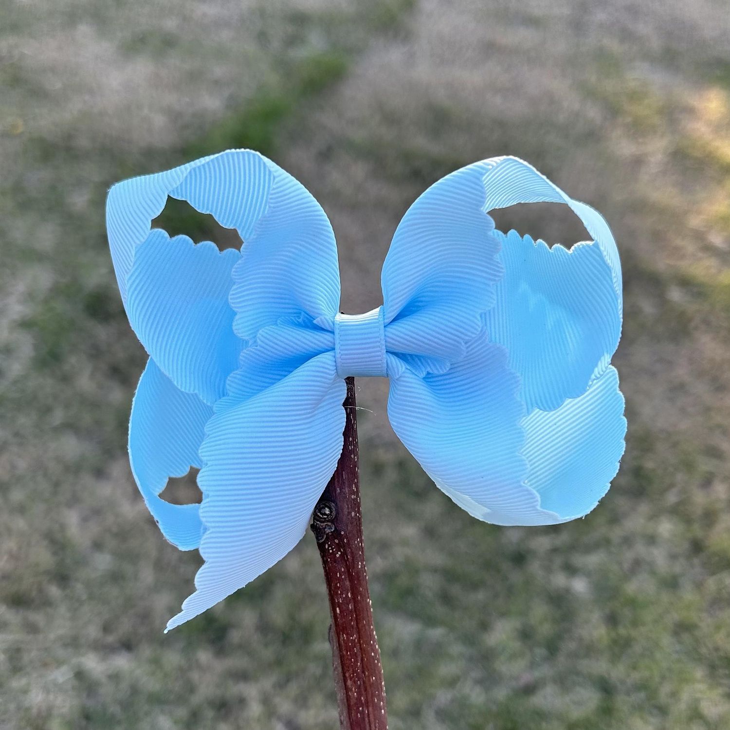 4.5 inch blue Scallop bow