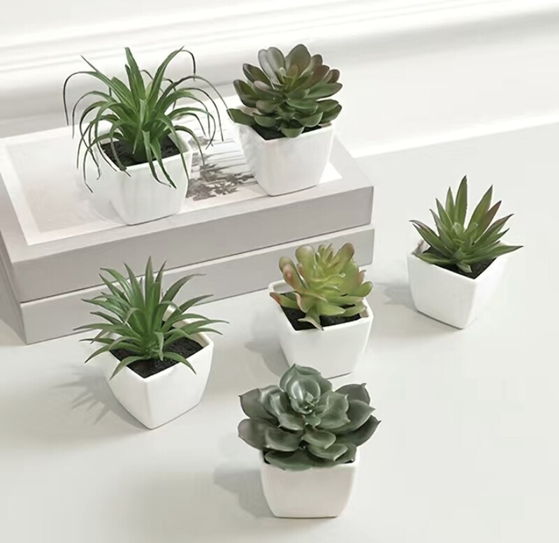 6pcs, Mini Artificial Succulent Plants