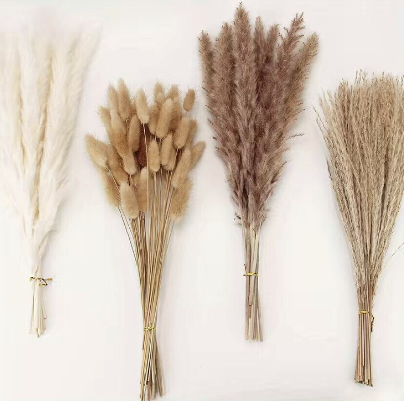 100pcs, Natural Dried Pampas Grass Bouquet