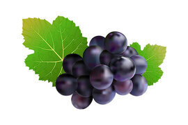 Grape