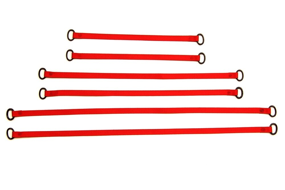 Lifting Straps (Set of 6) - Red