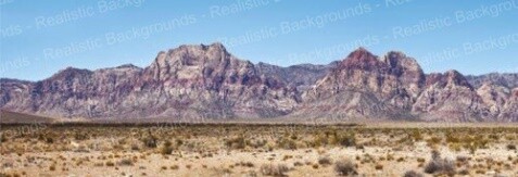 Desert Scene Background - B