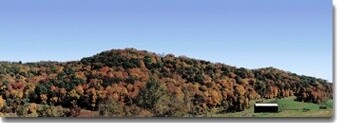 Mountains w/Fall Foilage Background - B