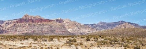 Desert Scene Background - A