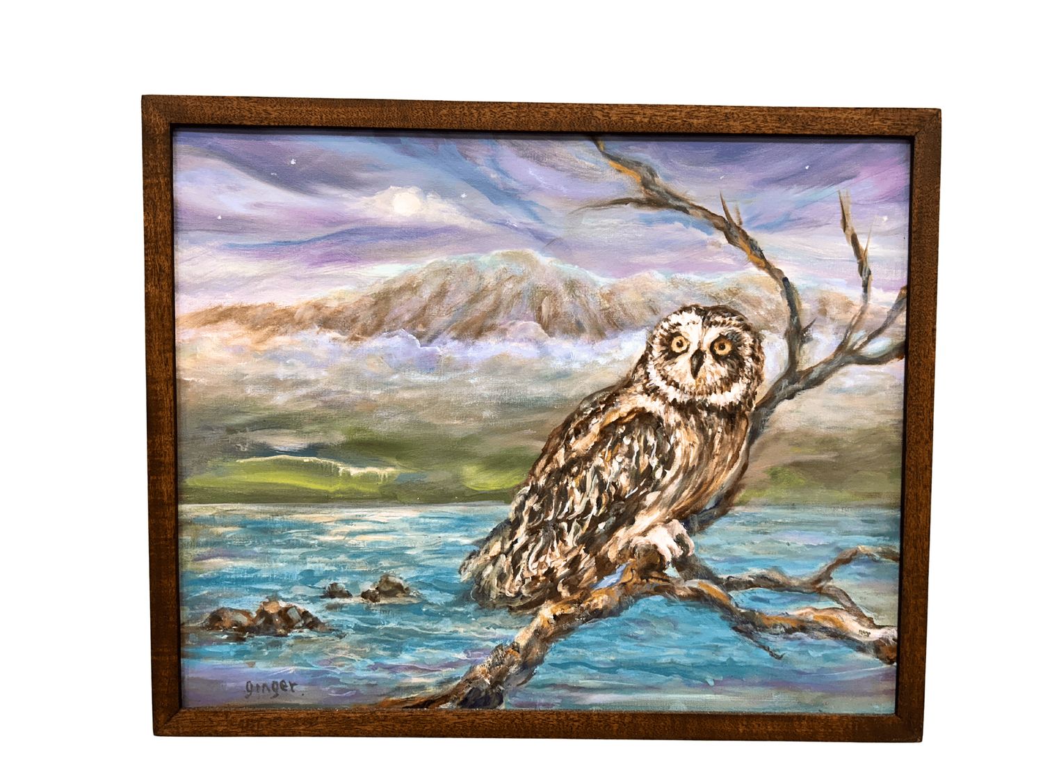 "Pueo - Our Amuakua" - 17.25" x 21" - Original Oil on Canvas with Mahogany Frame