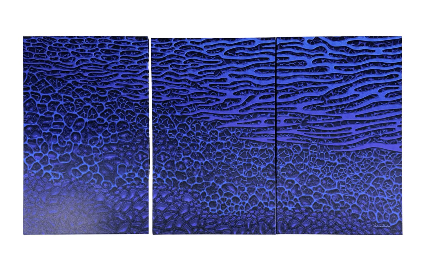 "Above and Below" - Digital Triptych - 60.5" x 32" tall