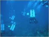 Ranger Rick&#39;s Shop Scuba Classes