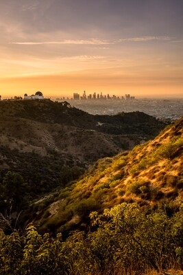 Griffith park golden sunrise