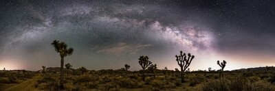 Milky way Joshua tree pano