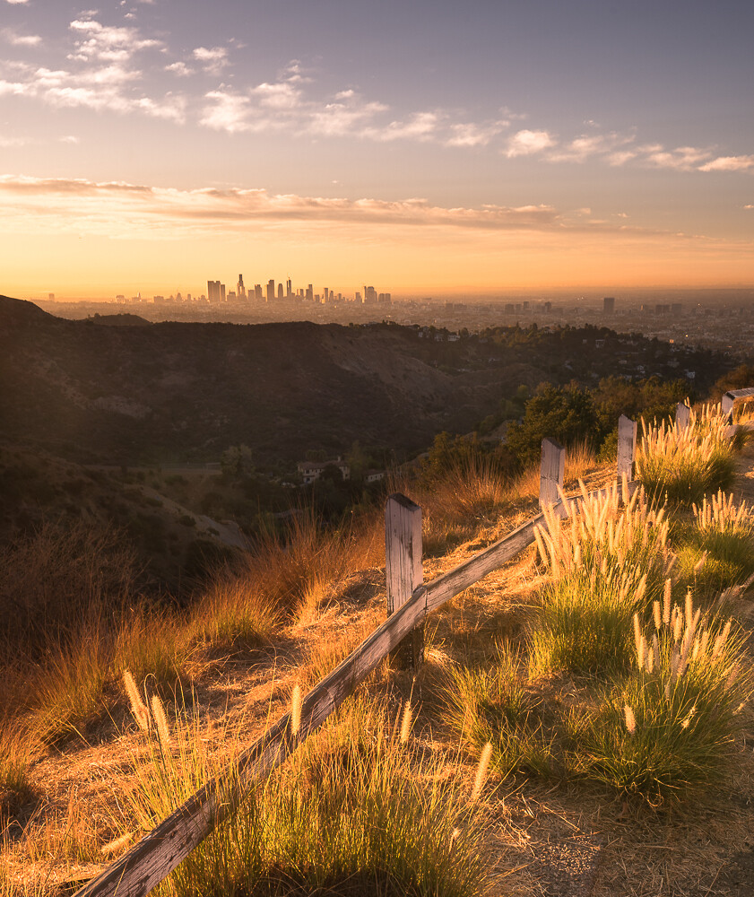 Hollywood Hills Sunrise