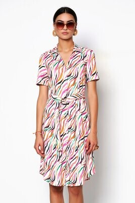 Desoto klara printed dress multicolour