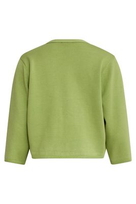Smashed Lemon knitted cardigan groen