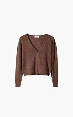 Aimee the Label haarlemW6 cardigan bruin