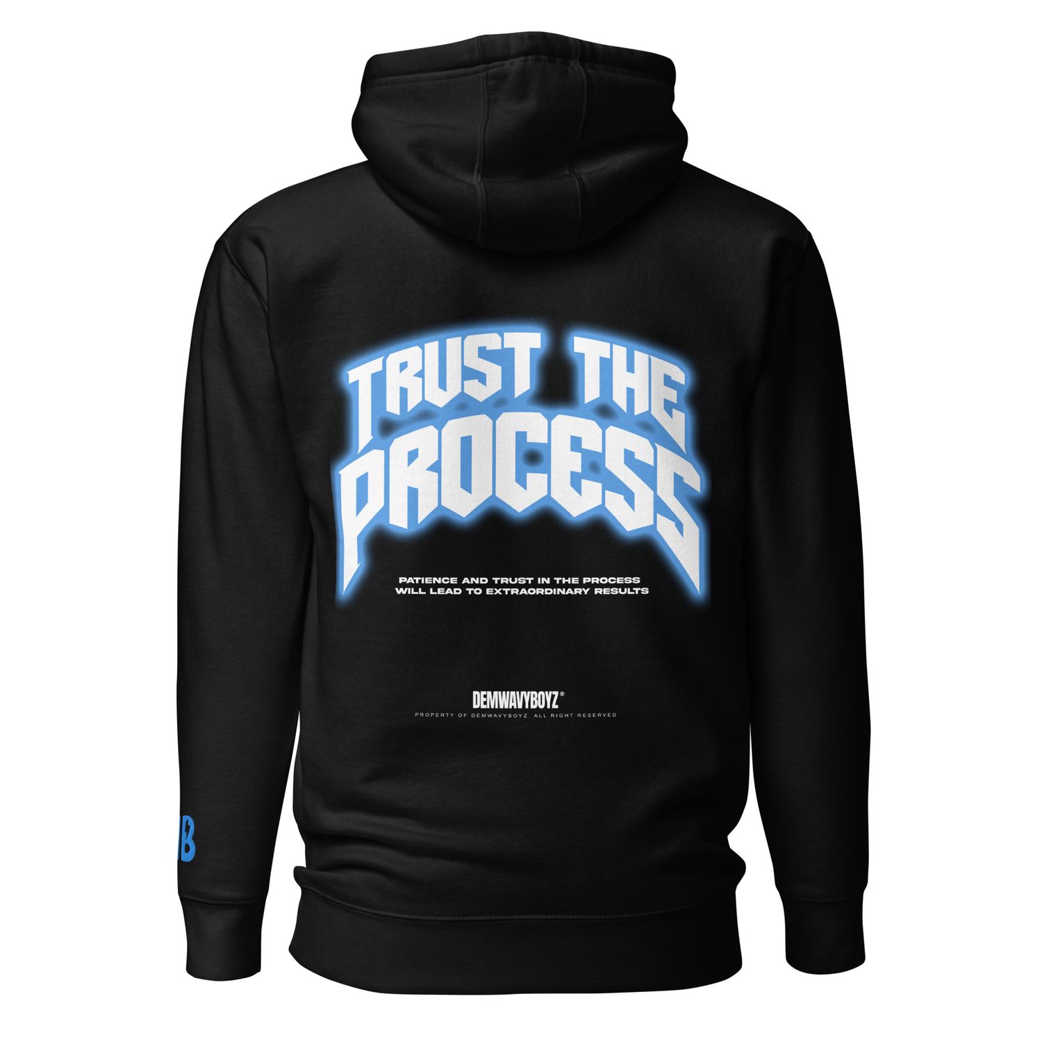 Trust The Process Hoodie