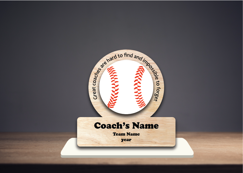 Coach's Baseball Recognition