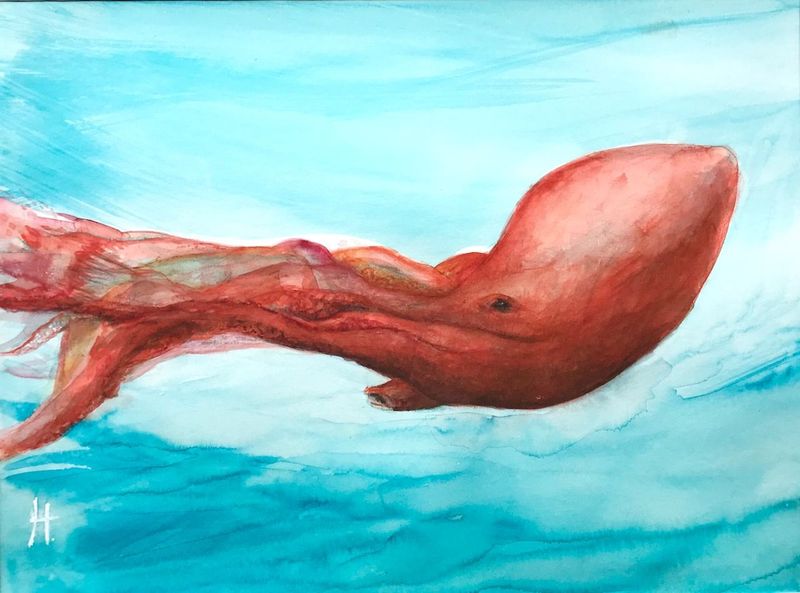 Octopus n°3
