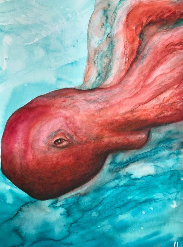 Octopus n°1