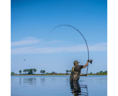 REVOLVE RODS