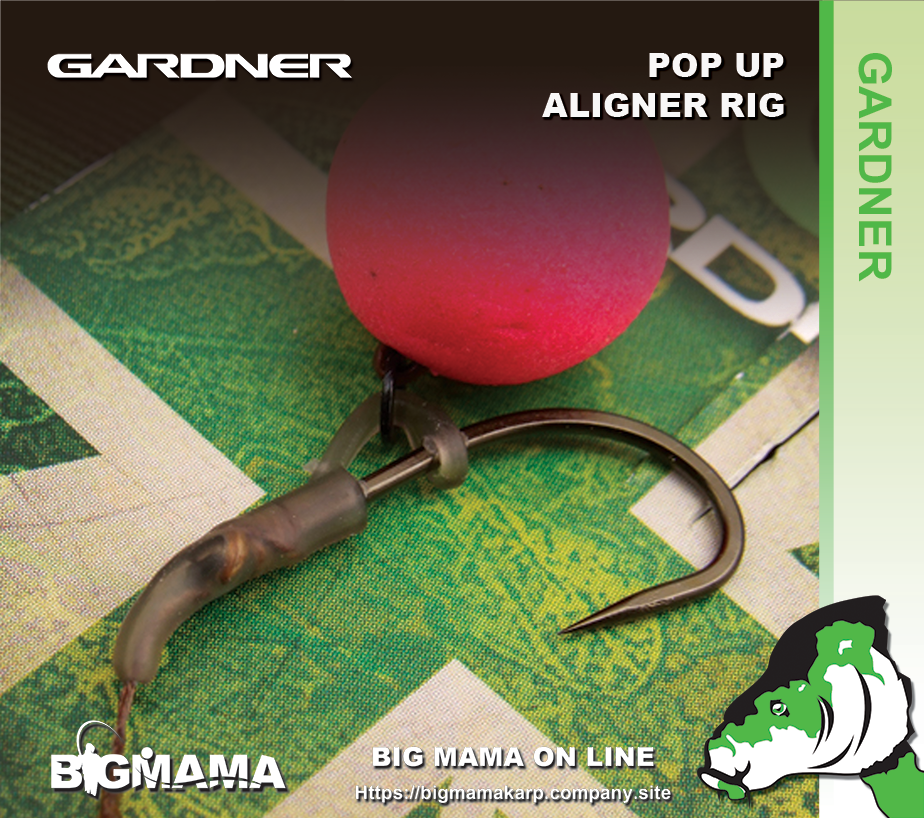 POP UP ALIGNER RIG
