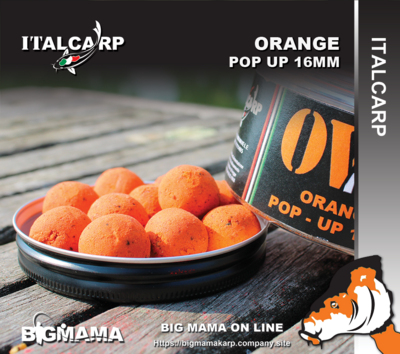 ORANGE POP UP 16MM