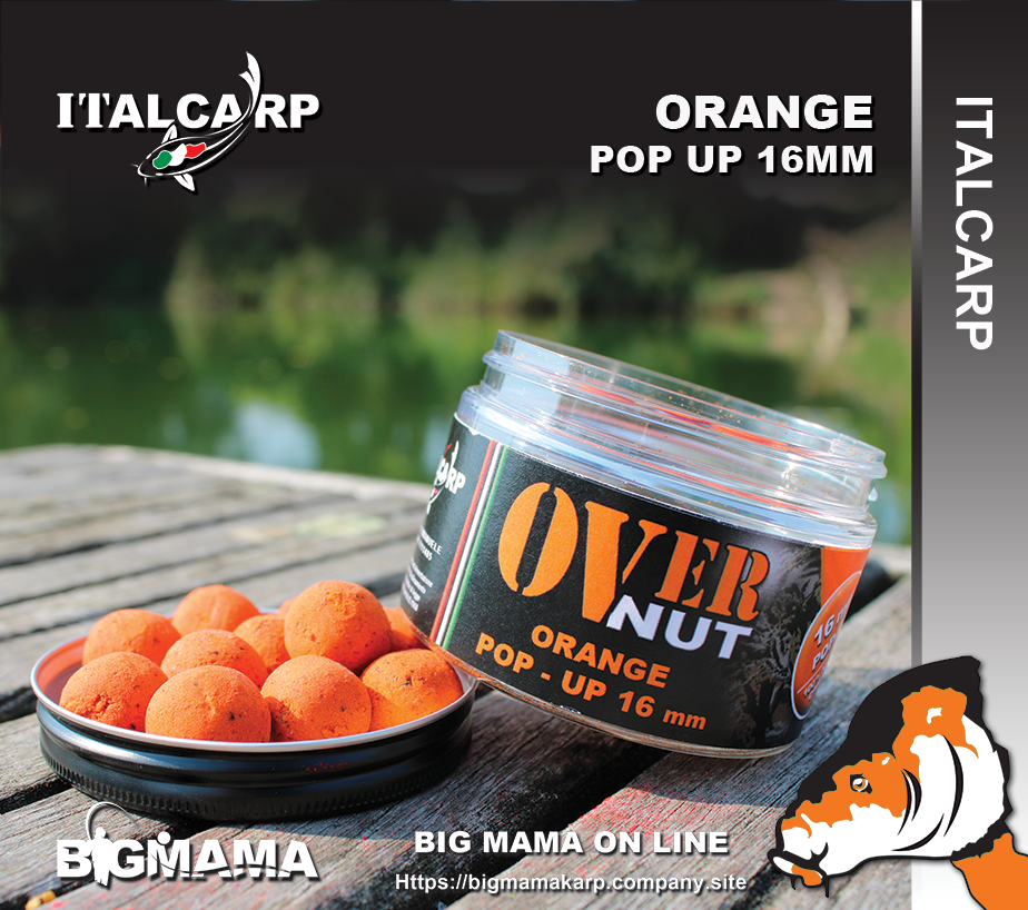 ORANGE POP UP 16MM