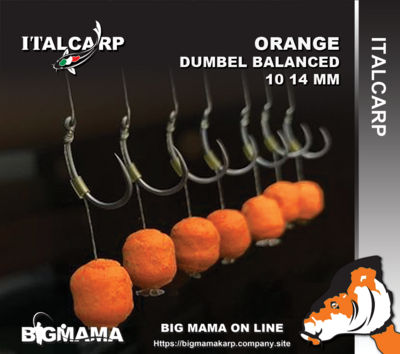 ORANGE DUMBELL BALANCED