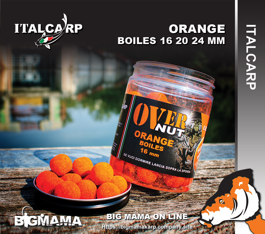 ORANGE BOILES