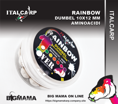 RAINBOW DUMBEL BALANCED 10MM