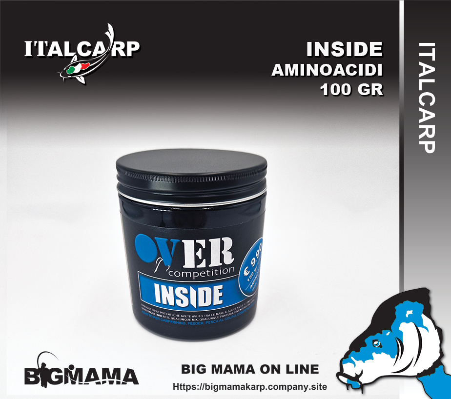 INSIDE AMINOACIDI