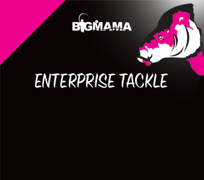 ESCHE IN AMMOLLO ENTERPRISE