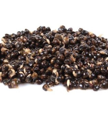 CANAPA 2KG