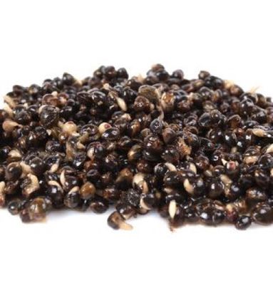 CANAPA 2KG