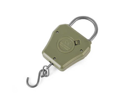 COMPACT DIGITAL SCALES