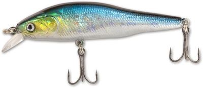 GITEC ZANDER - SARDINE