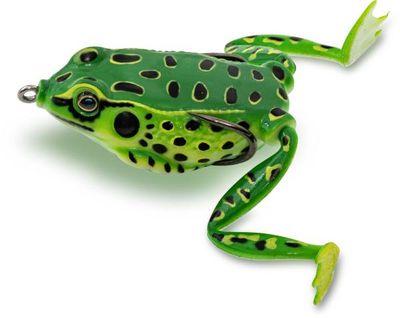 TOP FROG - POOL FROG