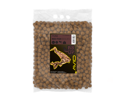B8-UP SPICE