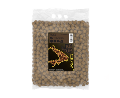 B8-UP NUT 20MM - 5KG