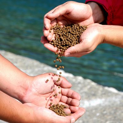 PELLET SELECT K  2,5 KG