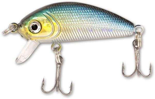GITECH PERH SARDINE