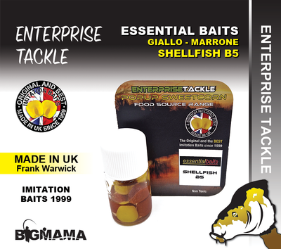 ET ESSENTIAL MAIS GIALLO MARRONE - SHELLFISH B5