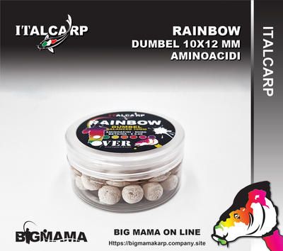 RAINBOW DUMBEL BALANCED 10MM