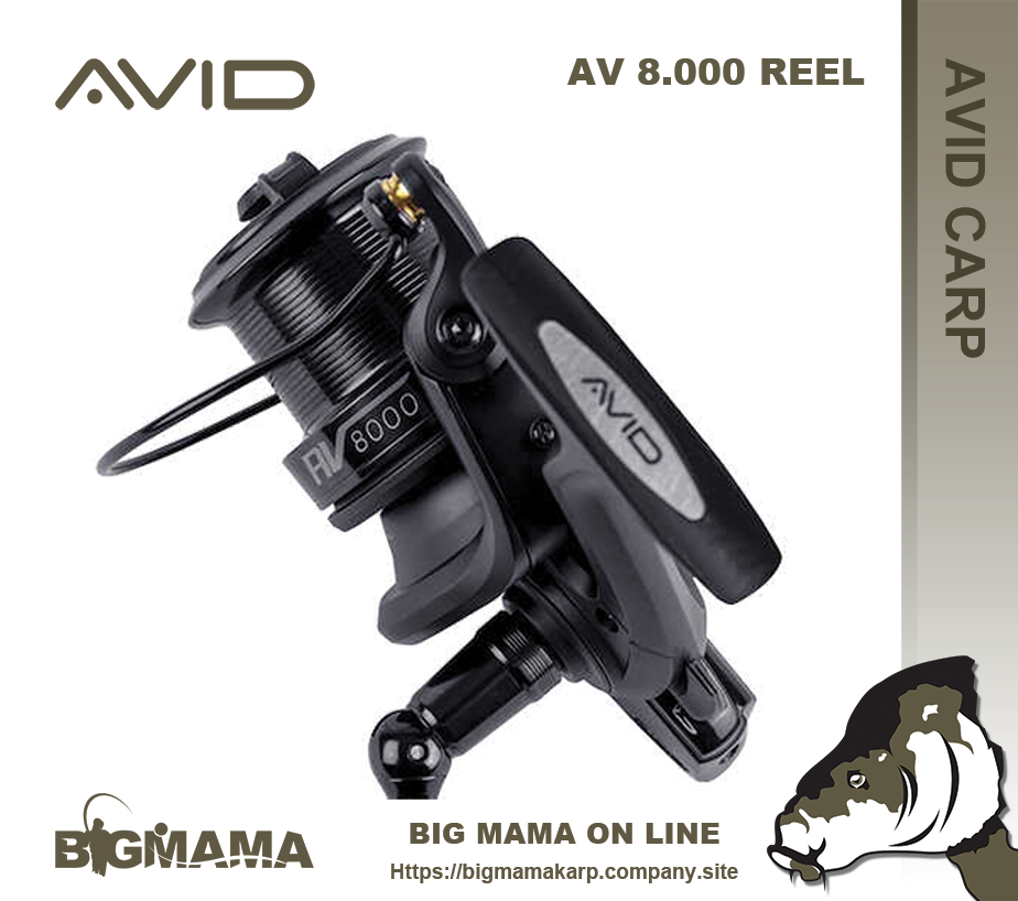 AV 8.000
