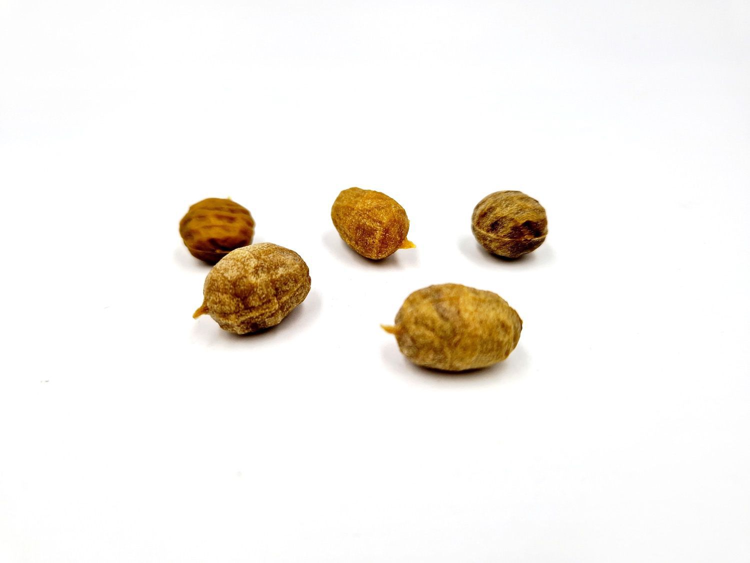 TIGER NUT - POP UP