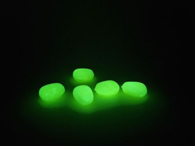 NEON YELLOW GRANOTURCO - POP UP